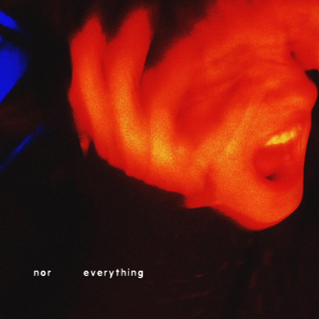 Everything cover art