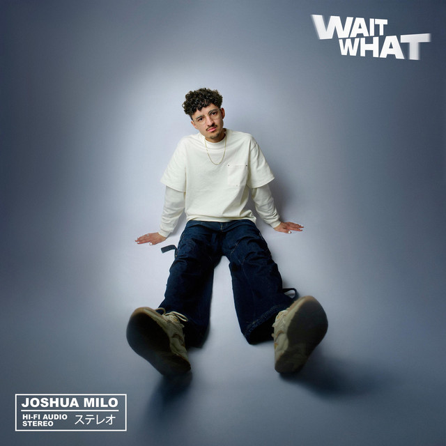 WAIT WHAT cover art