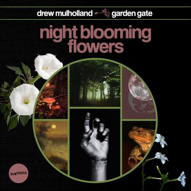 Night Blooming Flowers cover art
