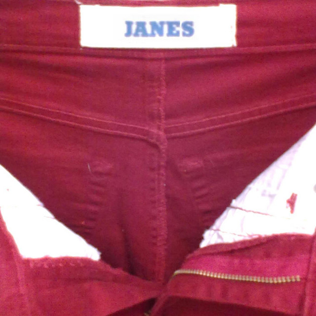 Janes cover art