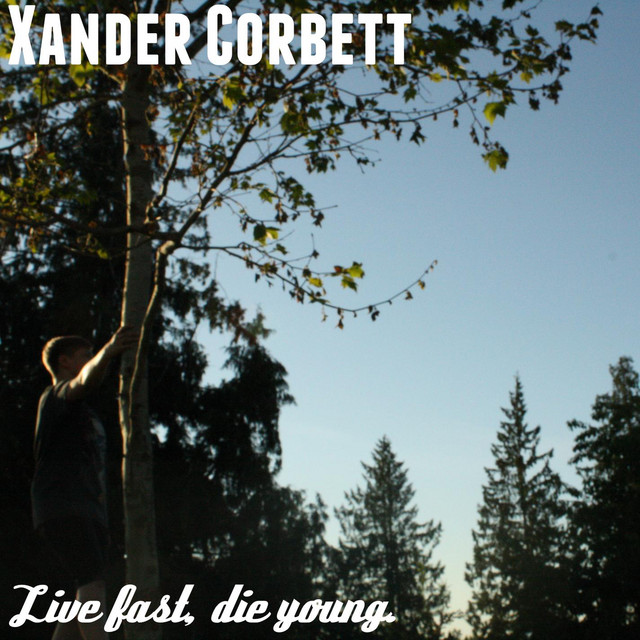 Live Fast, Die Young. cover art