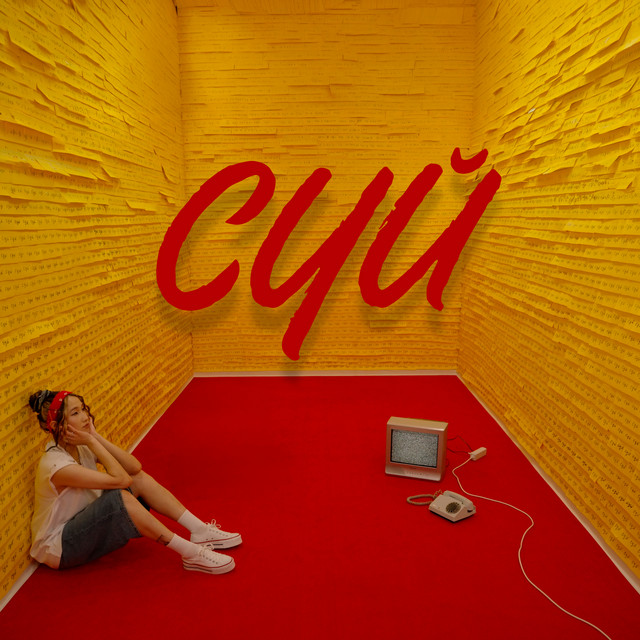 Сүй