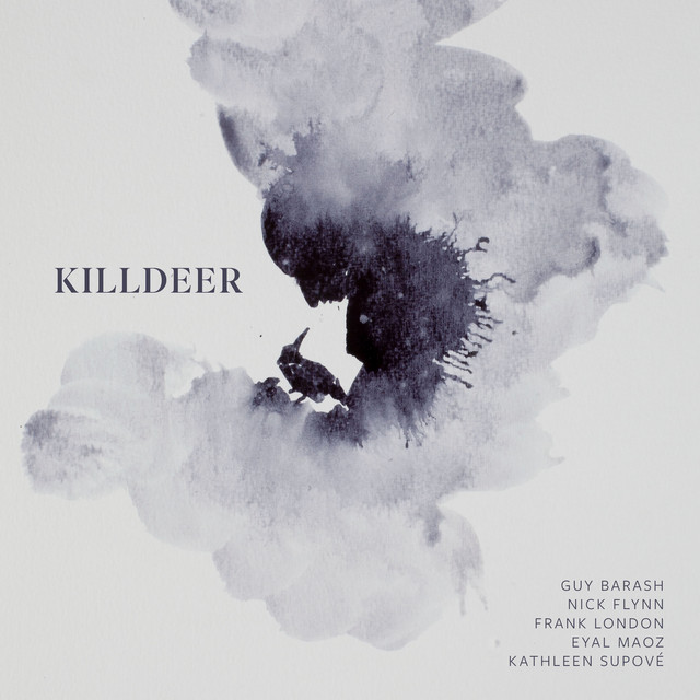 Killdeer — Guy Barash
