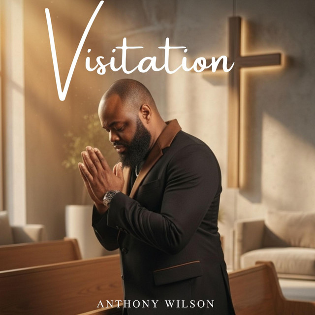 Visitation cover art