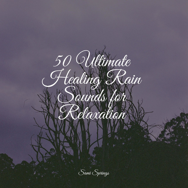 50 Ultimate Healing Rain Sounds for Relaxation - Album by Masters of ...