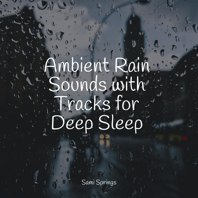 Ambient Rain Sounds with Tracks for Deep Sleep - Album by Rain Drops ...