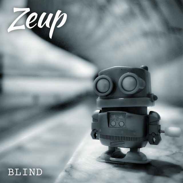 Blind cover