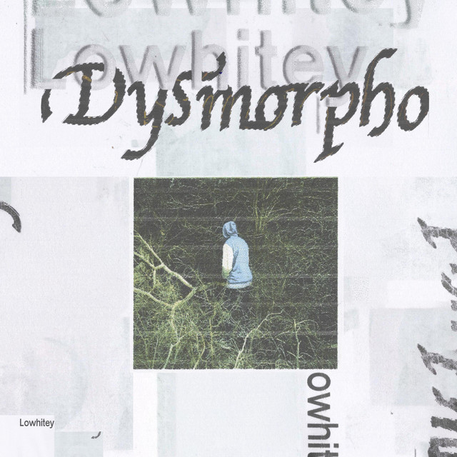 Dysmorpho cover