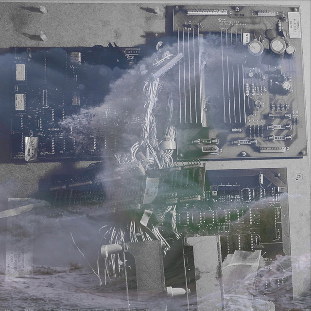 Immortal Flight cover art