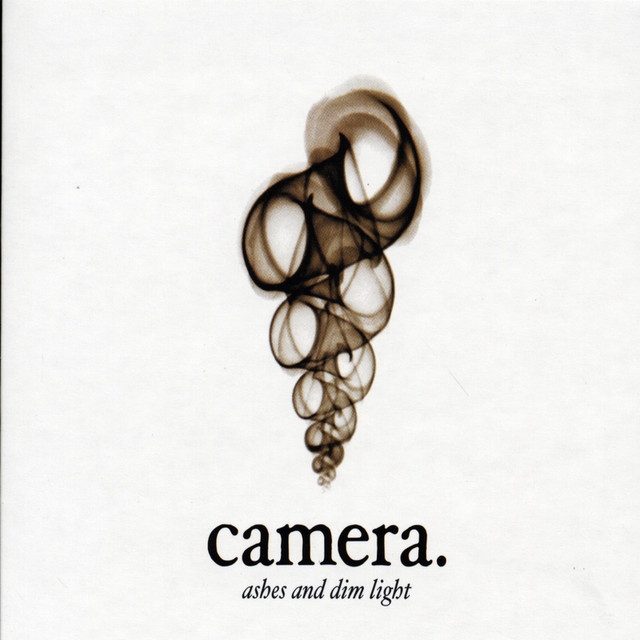 Ashes And Dim Light cover art