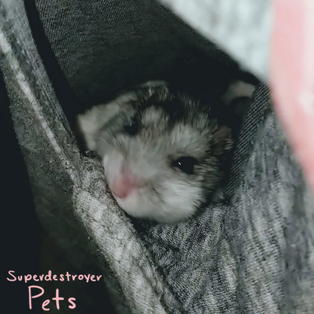 Pets. cover art
