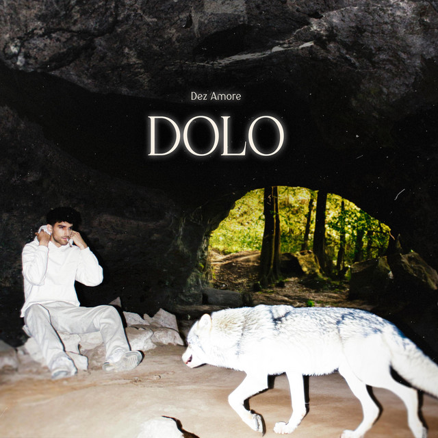 DOLO cover art