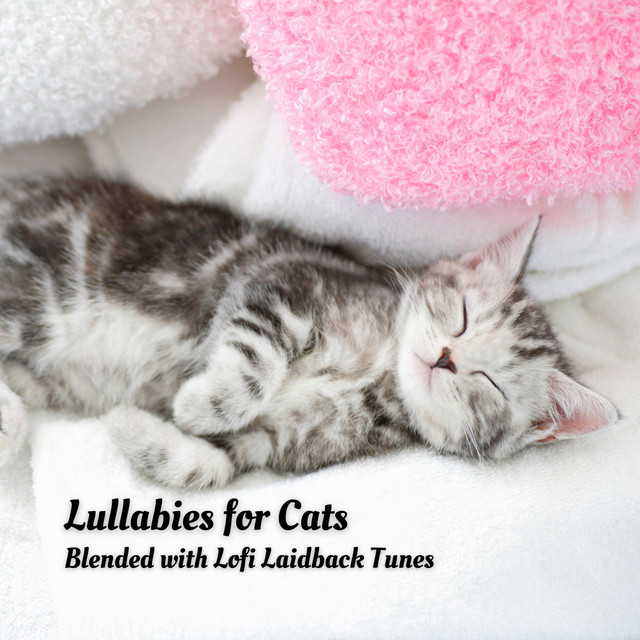 Lullabies for Cats: Blended with Lofi Laidback Tunes cover art