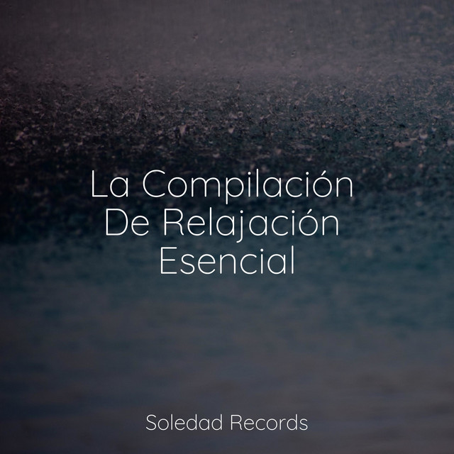 La Compilación De Relajación Esencial