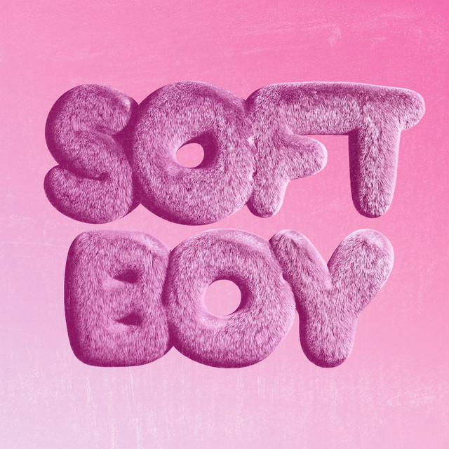 Soft Boy