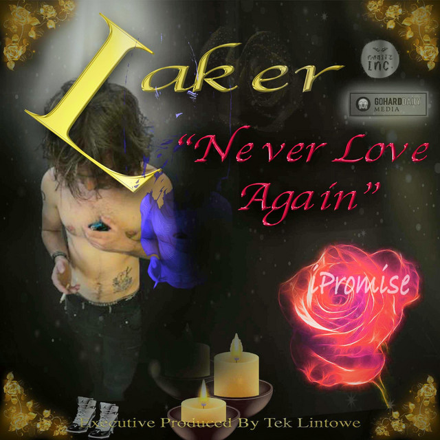 Never Love Again cover art