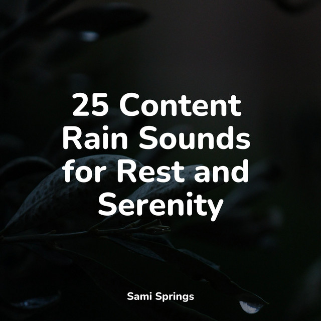 25 Content Rain Sounds for Rest and Serenity - Album by Spa Music ...