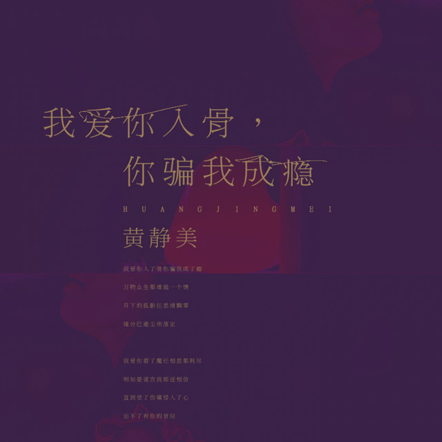 我爱你入骨，你骗我成瘾 - Djheap九天版