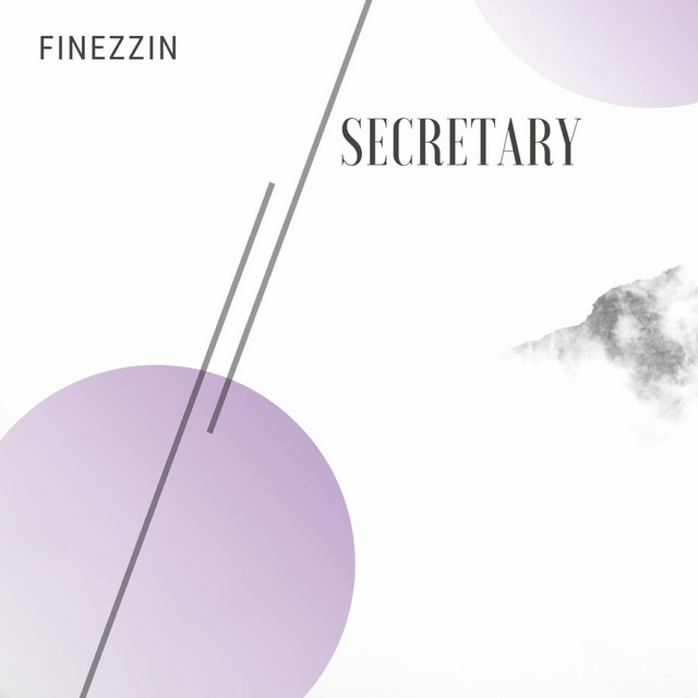Secretary - Single by Finezzin | Spotify