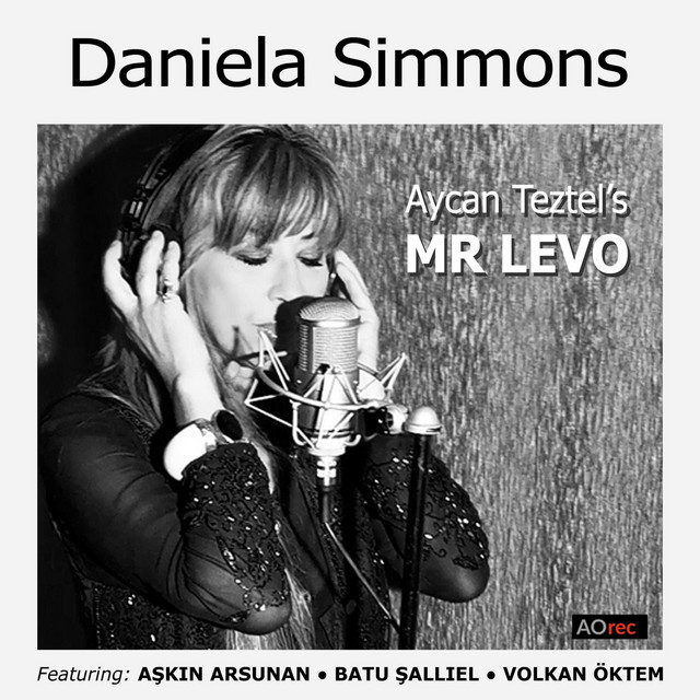 Mr Levo cover
