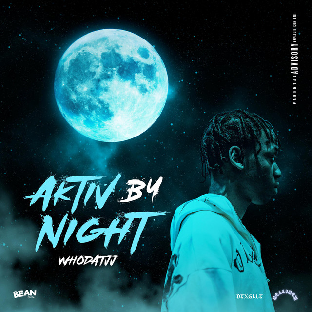 Aktiv By Night cover art