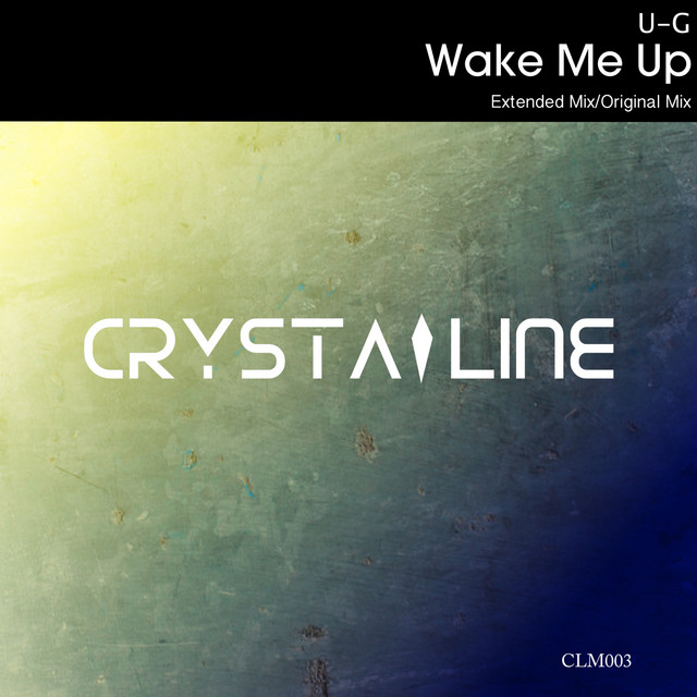 Wake Me Up - Extended Mix album art