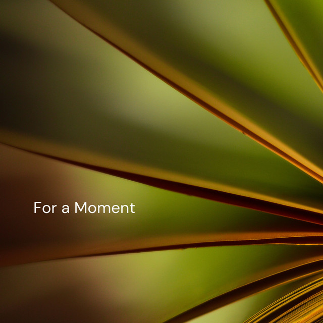 For a Moment