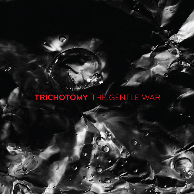 The Gentle War cover art