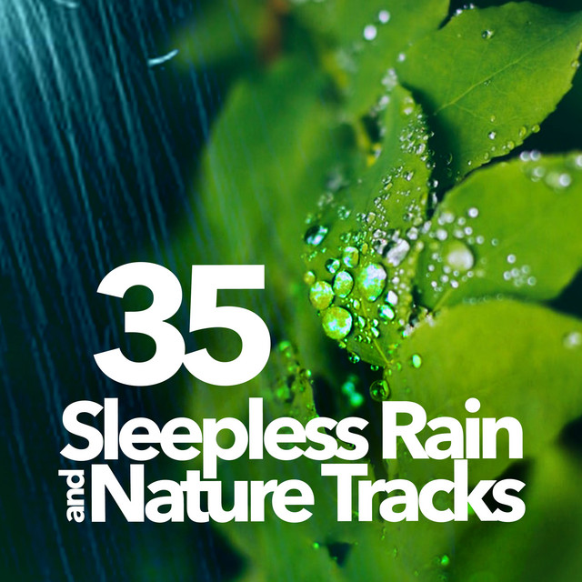 35 Sleepless Rain and Nature Tracks - Album by Rain and Nature | Spotify