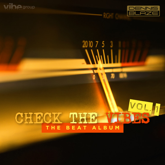 Check The Vibes: Volume 1 cover art
