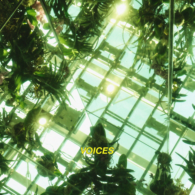 Voices cover
