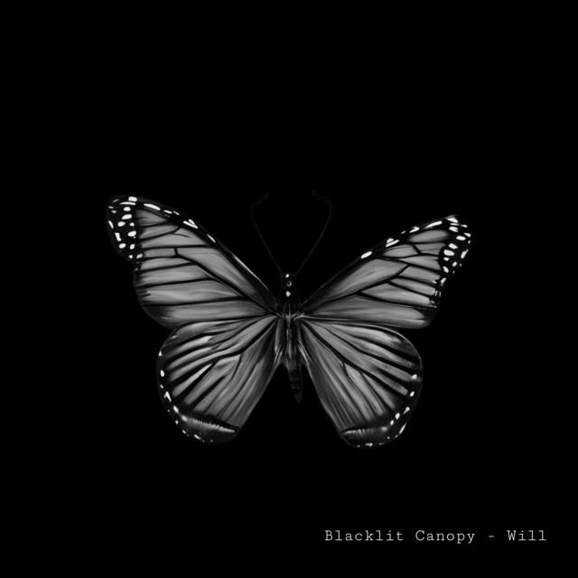 Will - Single by Blacklit Canopy | Spotify