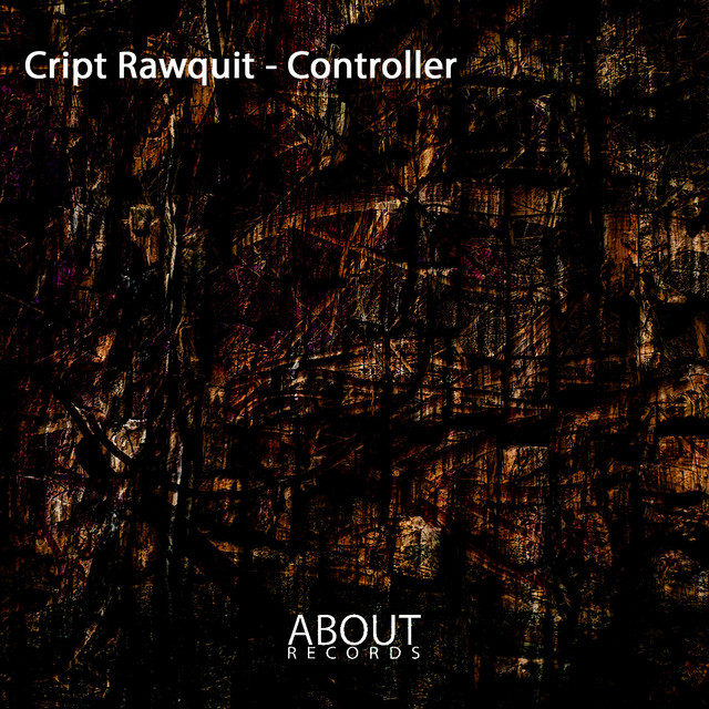 Controller cover art
