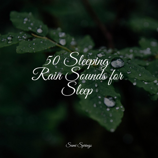 50 Sleeping Rain Sounds for Sleep - Album by Relaxing Spa Music | Spotify