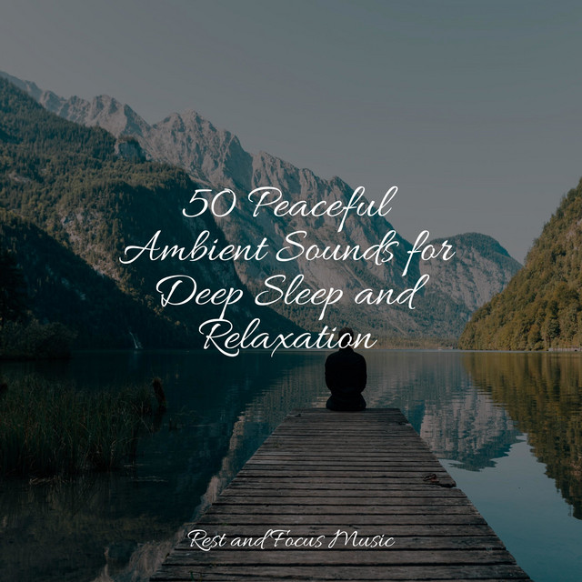 50 Peaceful Ambient Sounds for Deep Sleep and Relaxation - Album by ...