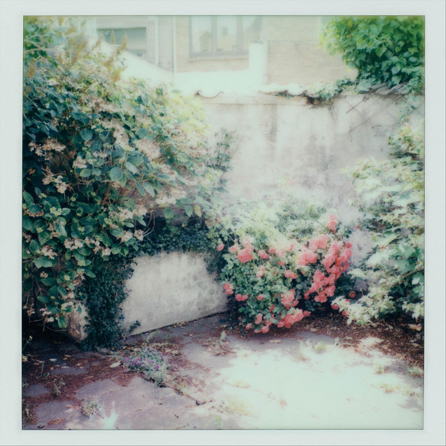 Tranen cover art