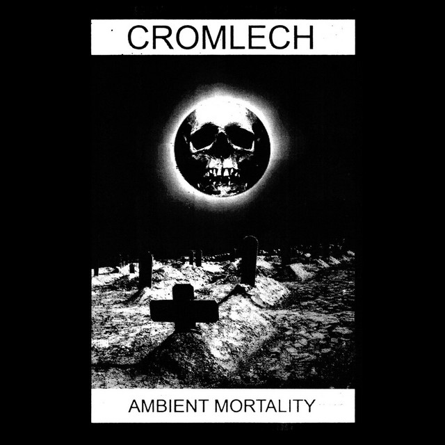 Ambient Mortality cover art