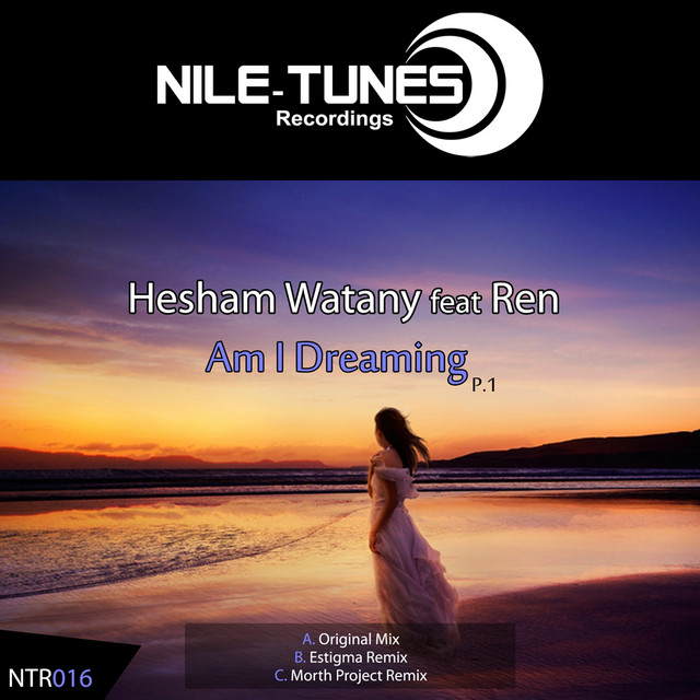 Am I Dreaming cover art