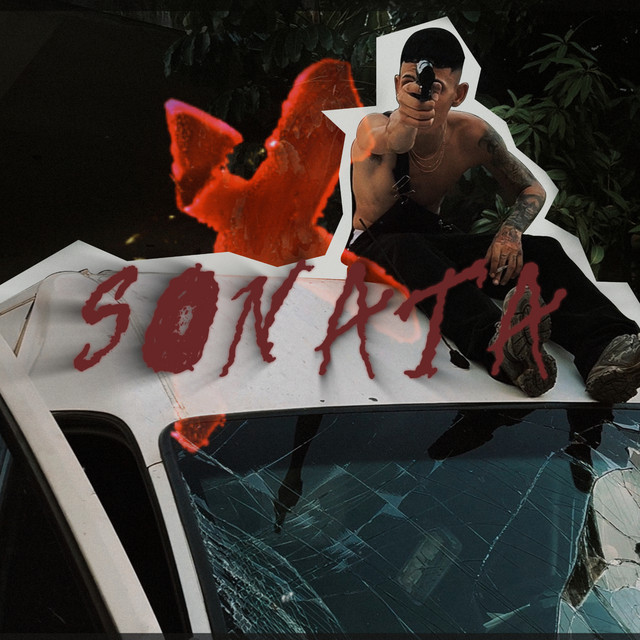Sonata cover art