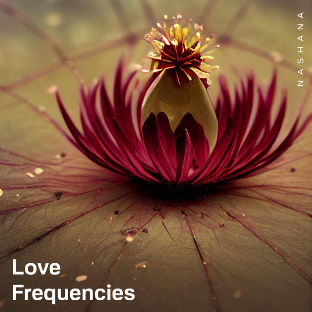 Love Frequencies cover art
