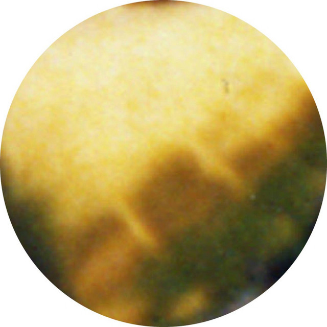 Colours EP cover art