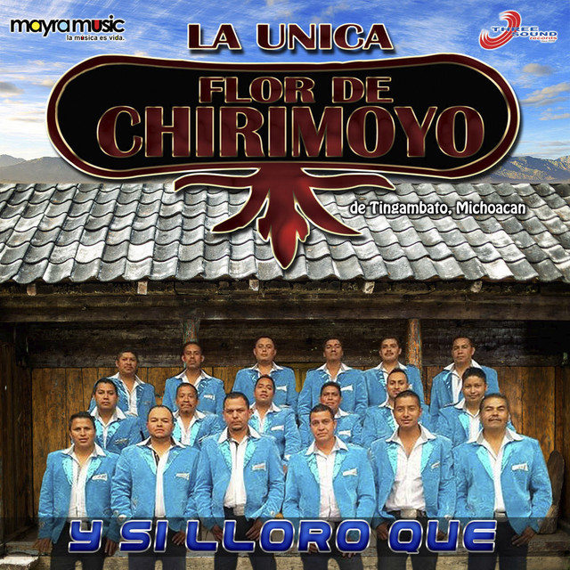Y Si Lloro ¿Qué? cover