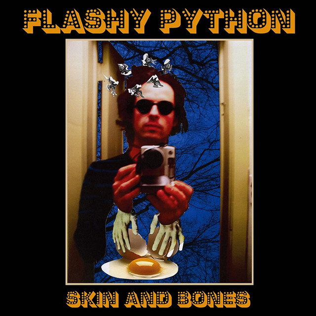 Skin and Bones cover art