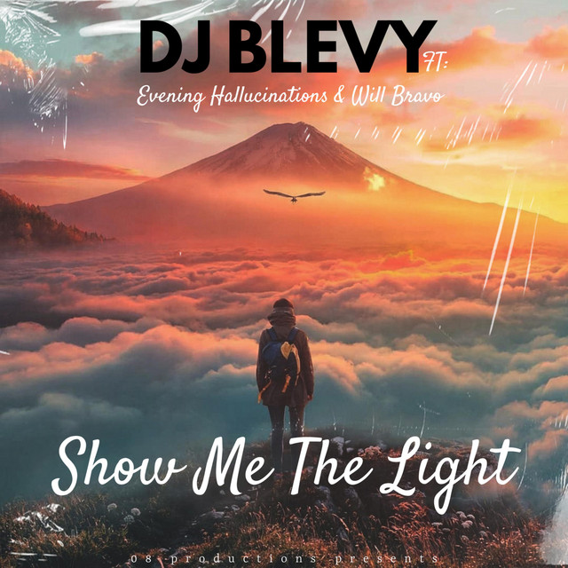 Show Me The Light - song and lyrics by DJ BLEVY, Evening Hallucinations ...