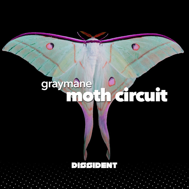 Moth Circuit cover art