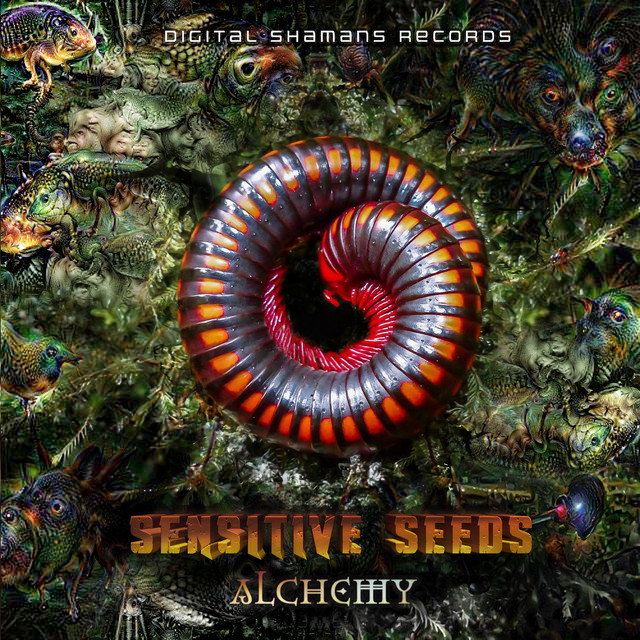 Sensitive Seeds Photo