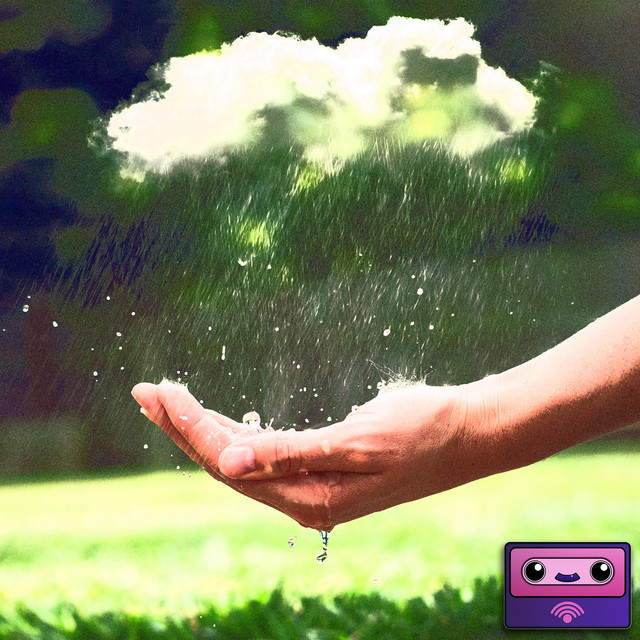 catch the rain cover art