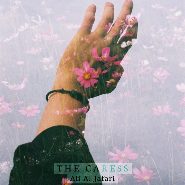 The Caress cover art