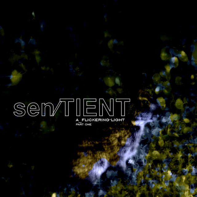 Sent/Tient