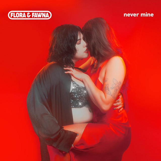 Never Mine cover